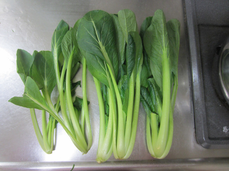 小松菜 Brassica Rapa Var Perviridis 科技研花图画书