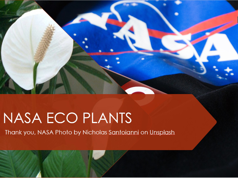 NASA ECO PLANT