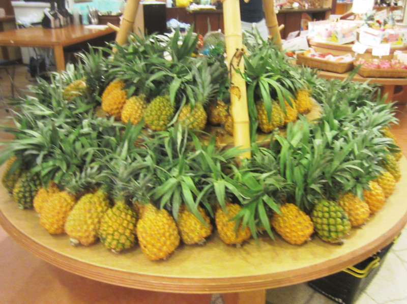 パイナップル Ananas Comosus かぎけん花図鑑