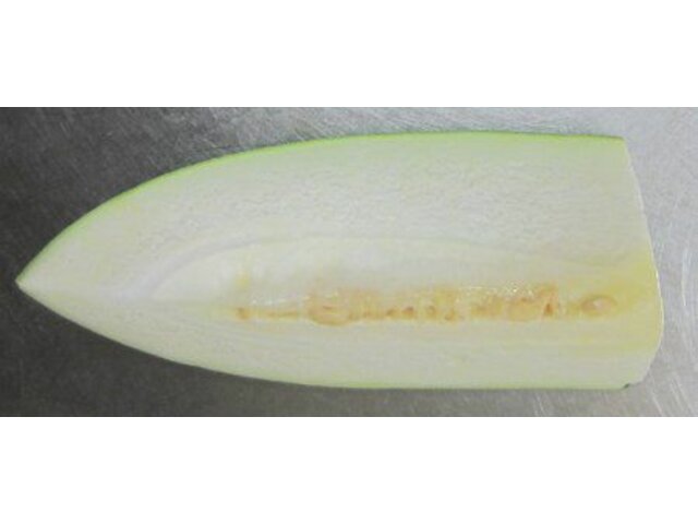 Winter melon