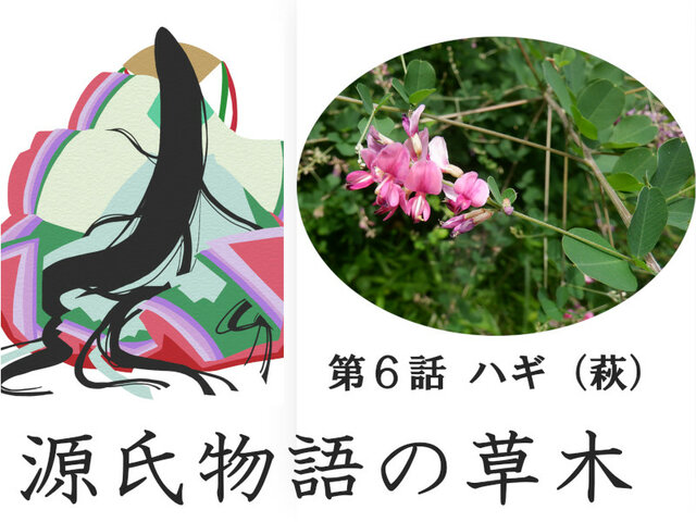 Bush clover