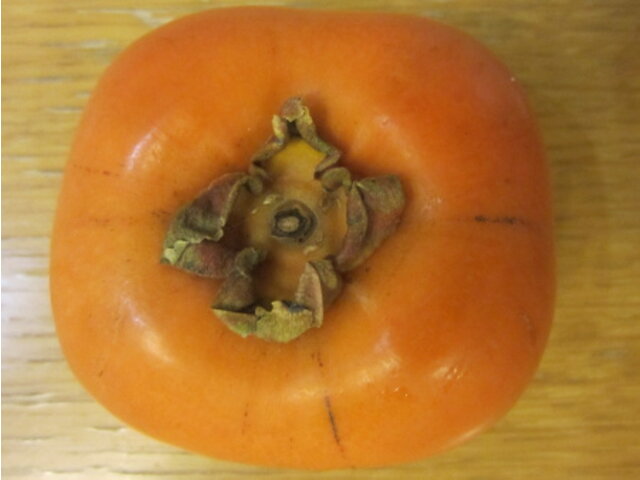 Persimmon 'kinokawa gaki'