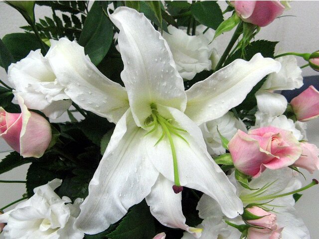 知佐さんの盛花