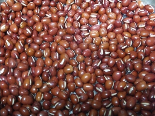 Adzuki bean