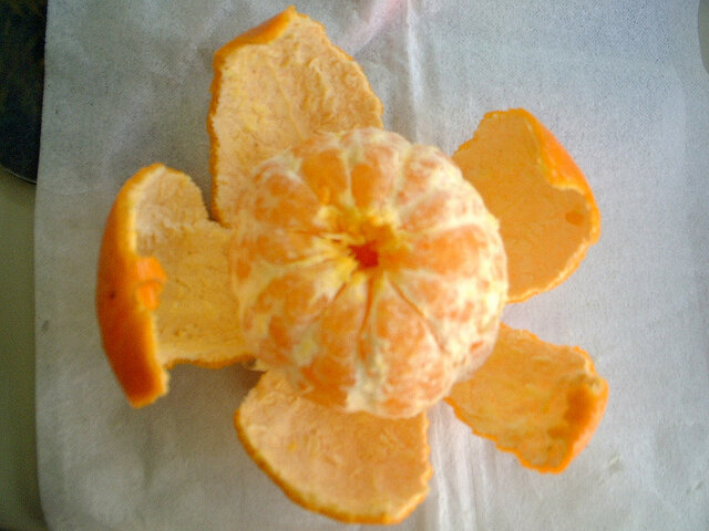 Natsudaidai orange