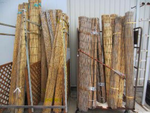 ヨシ | Phragmites australis | かぎけん花図鑑