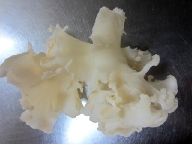 Cauliflower fungus