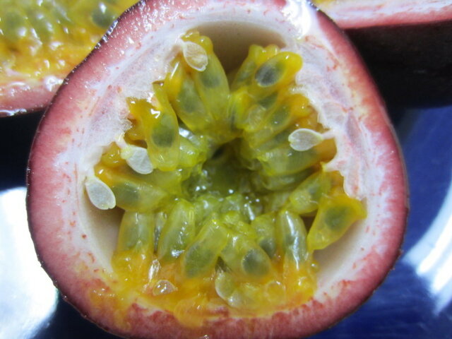 Passion fruit