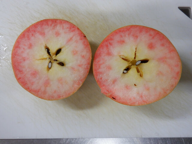 Apple tree 'Nakanonokirameki'