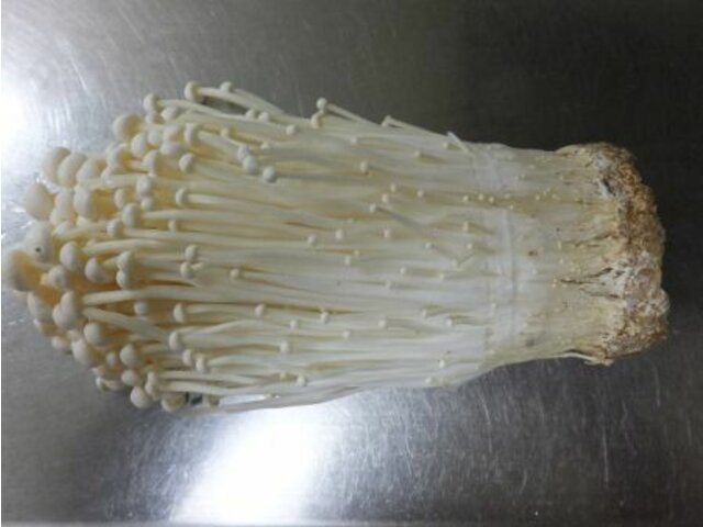 Enoki mushroom