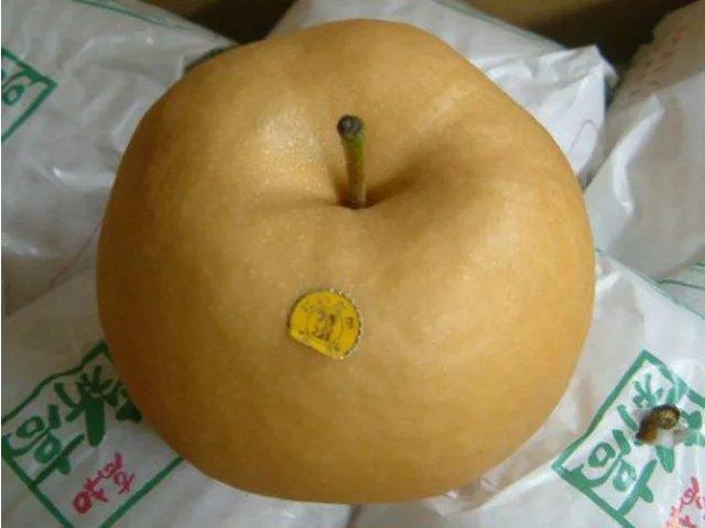 ナシ