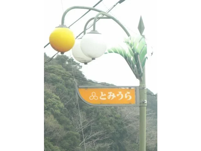 枇杷