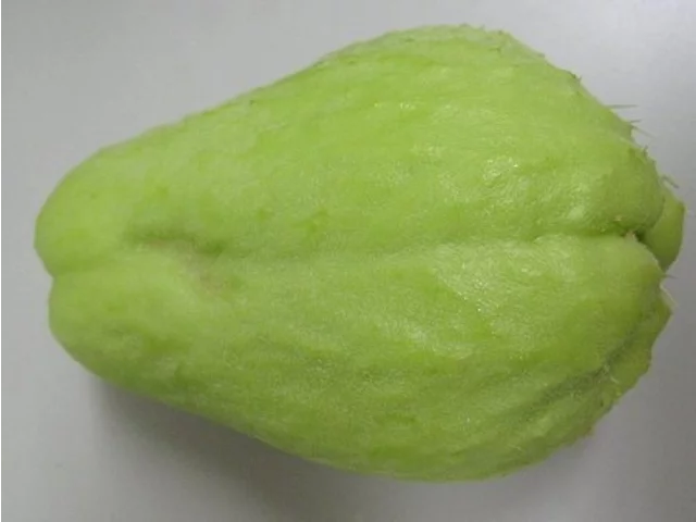 Chayote