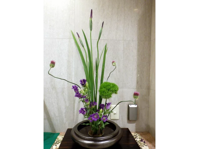 小花葱
