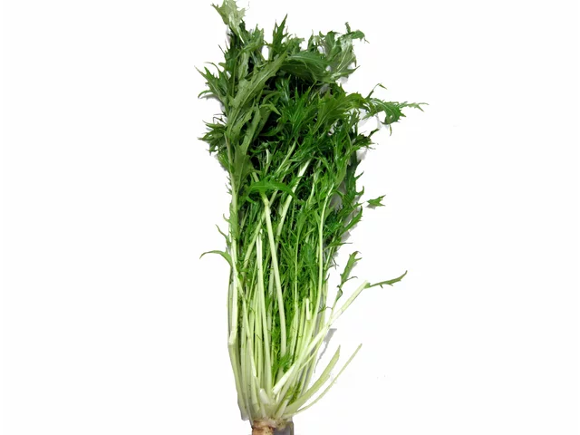 Mizuna