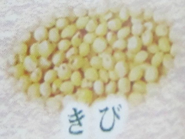 Sticky Millet