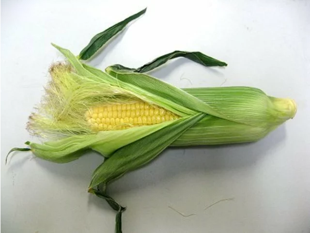 Corn