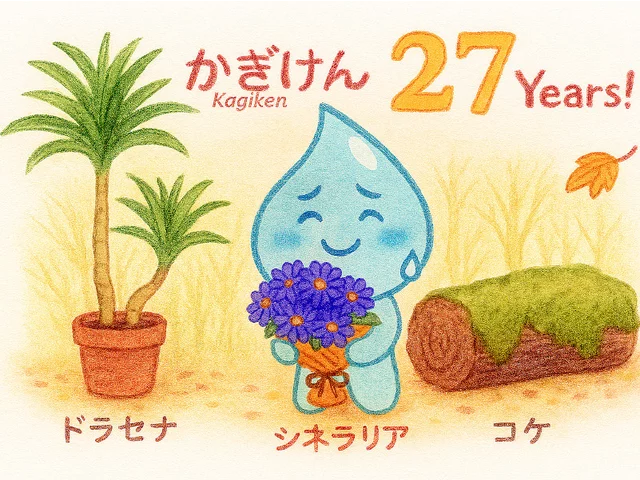 Dracaena surculosa
