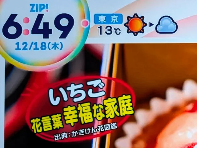 草莓
