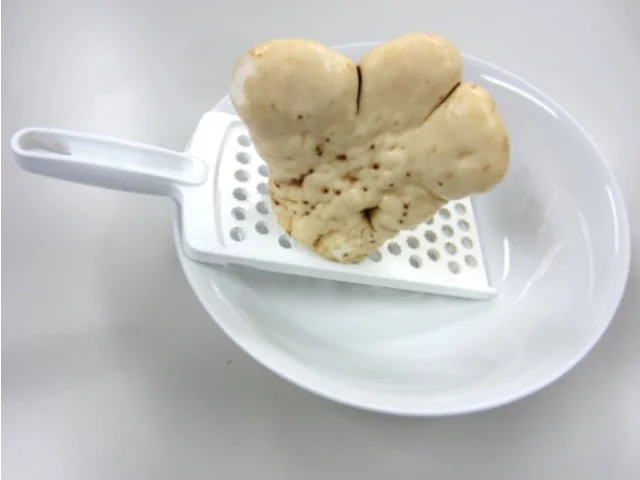 長山藥