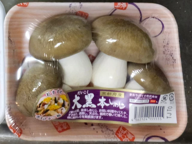 玉蕈离褶伞