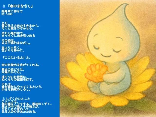 フクジュソウ