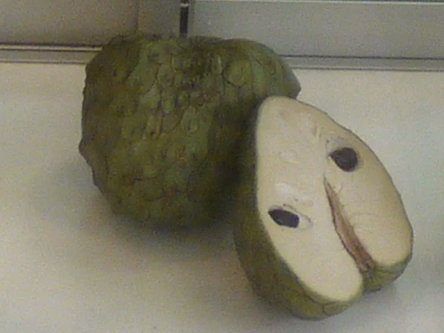 チェリモヤ