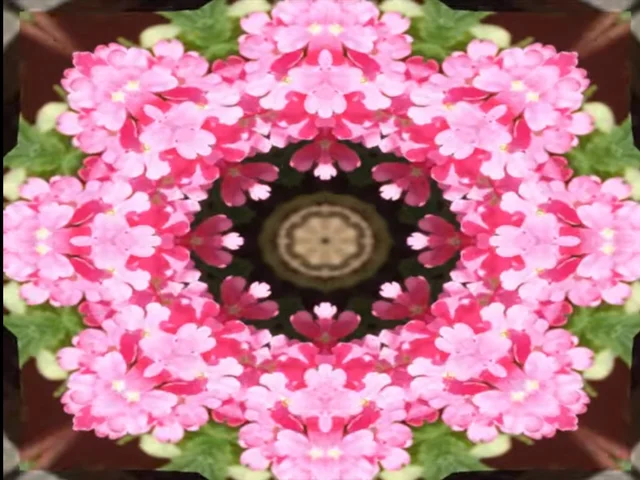 バーベナ