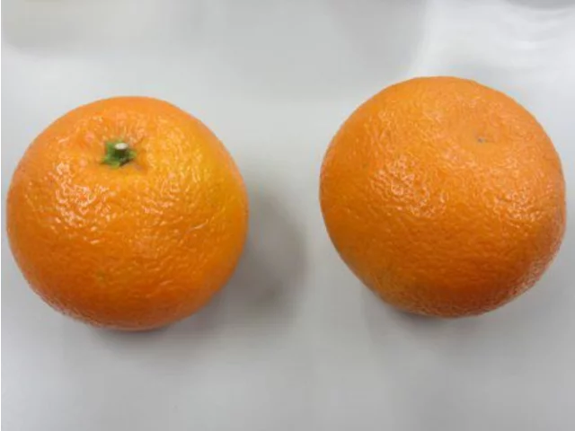イヨカン