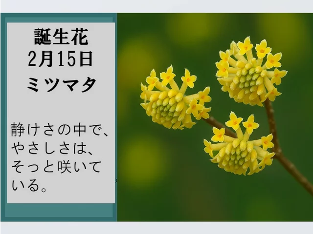 Oriental paperbush