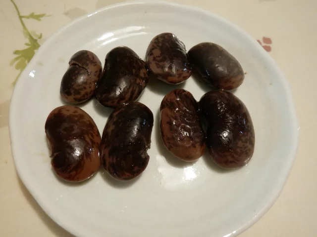 Phaseolus coccineus