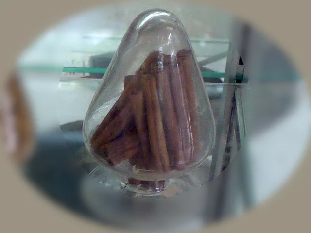 Cinnamomum zeylonicum