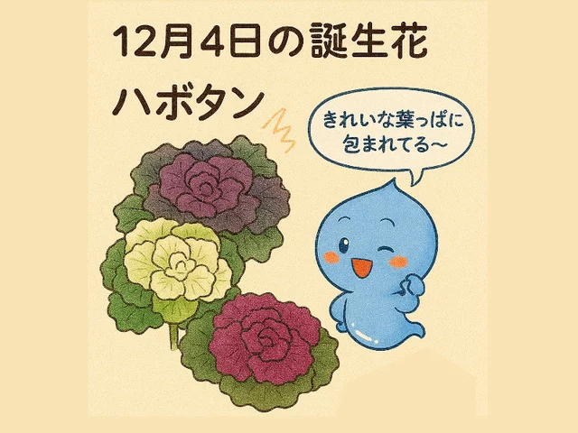 羽衣甘藍