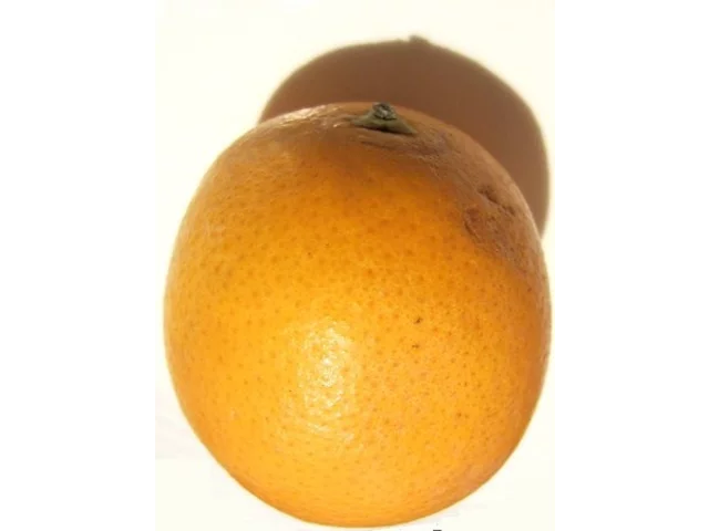 橙