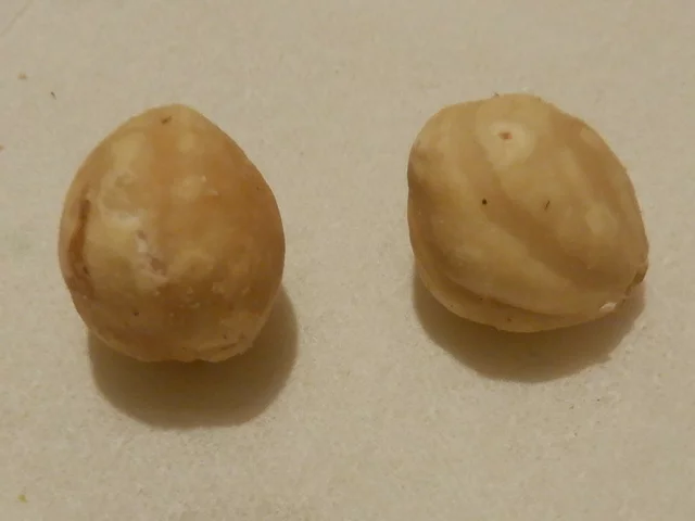 �w�[�[���i�b�c