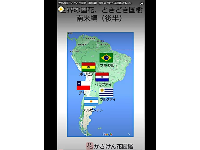 粉红色花風鈴木