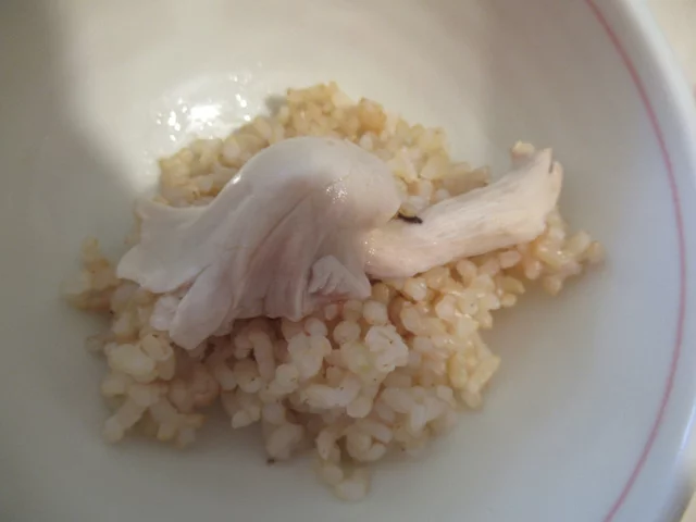 タモギタケ
