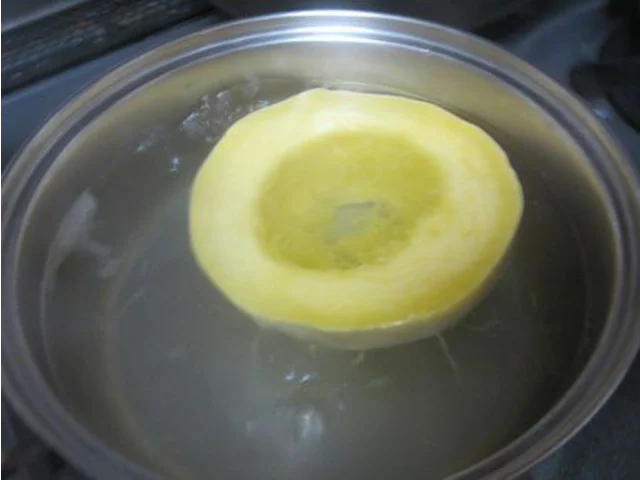 美洲南瓜
