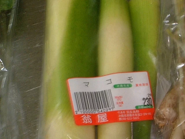 Zizania latifolia