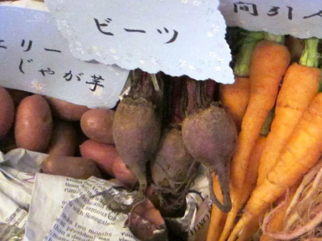 甜菜頭
