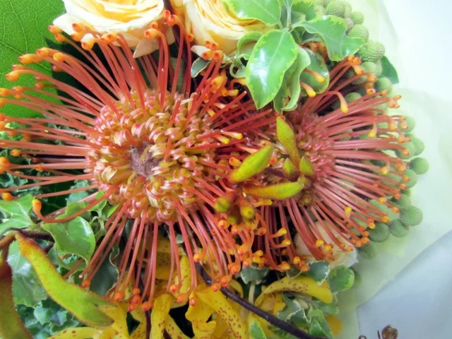 Pincushion