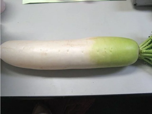 Japanese radish