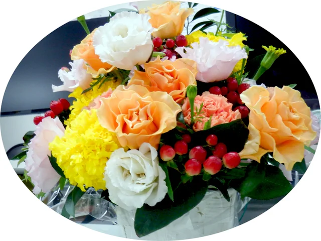 Tagetes erecta