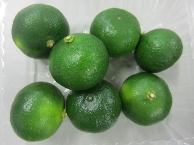 Citrus depressa