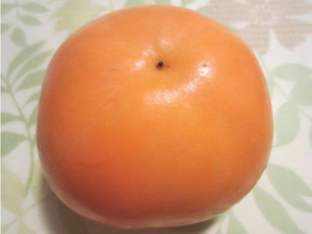 林柿
