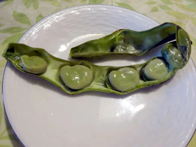 蚕豆