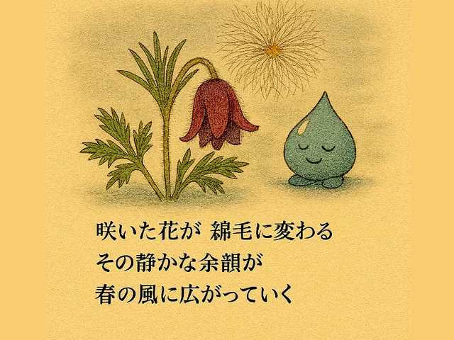 オキナグサ