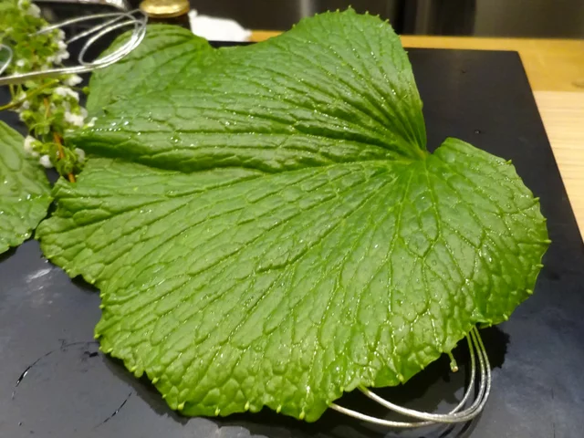 山葵