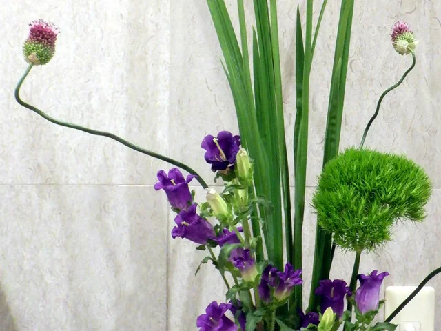 小花葱