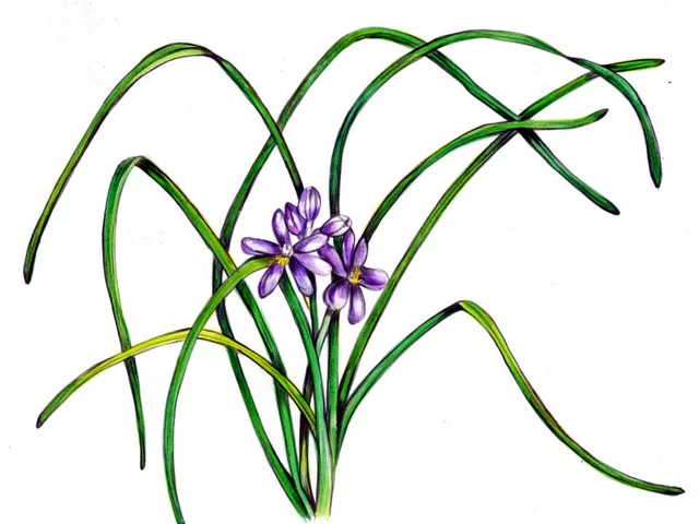 �q�����u����